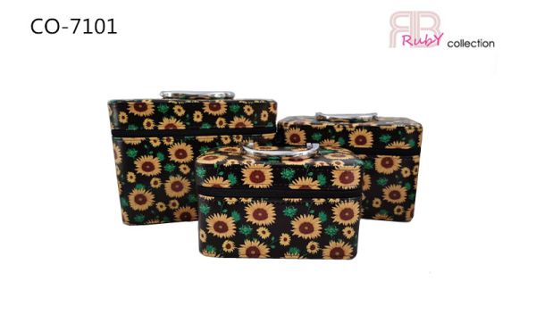 CO-7101 BK 3PC COSMETIC CASE